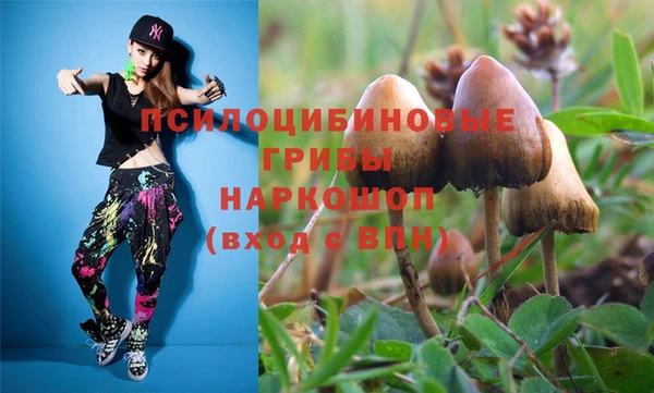 крисы Абаза