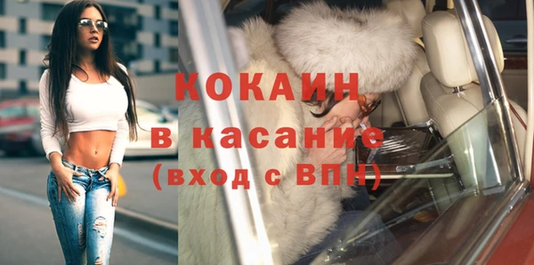 индика Новокубанск