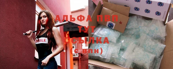 крисы Абаза
